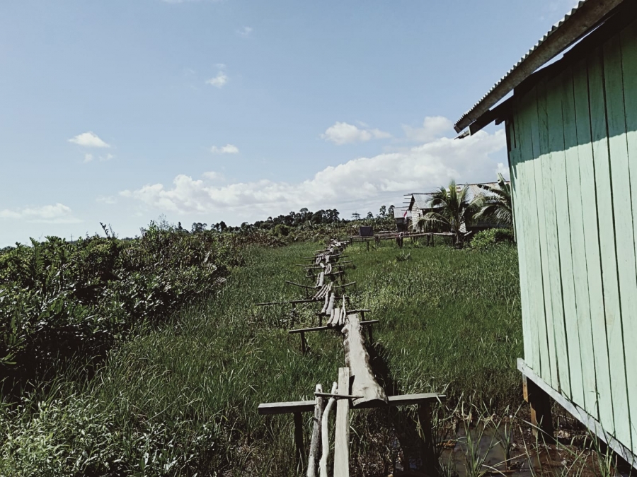 KERUSAKAN LINGKUNGAN