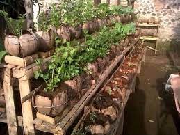 Pertanian Berkelanjutan dengan Konsep Permakultur